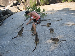 CairnsTC133 Granite Gorge